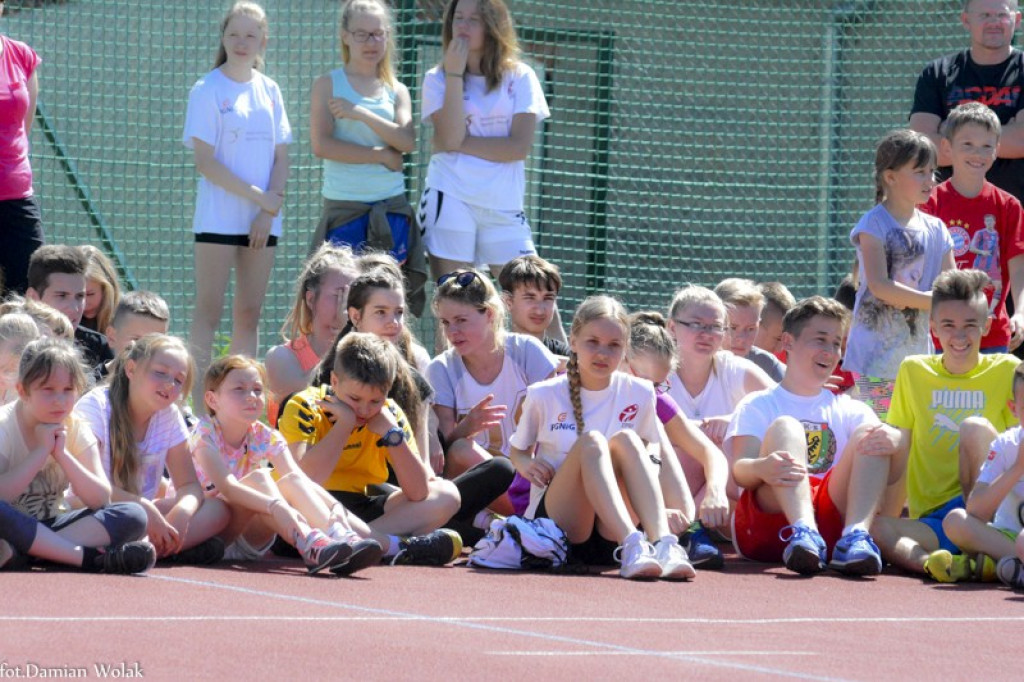 XXIII Bieg Olimpijski w Jędrzejowie [zdjęcia]