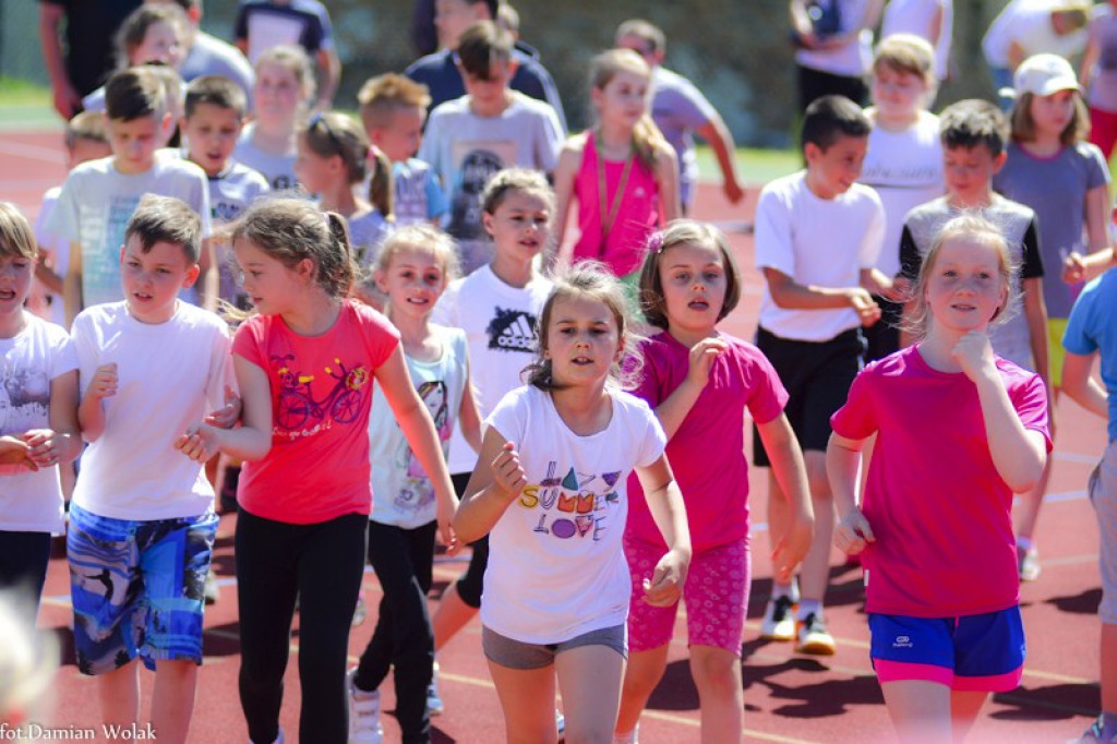 XXIII Bieg Olimpijski w Jędrzejowie [zdjęcia]