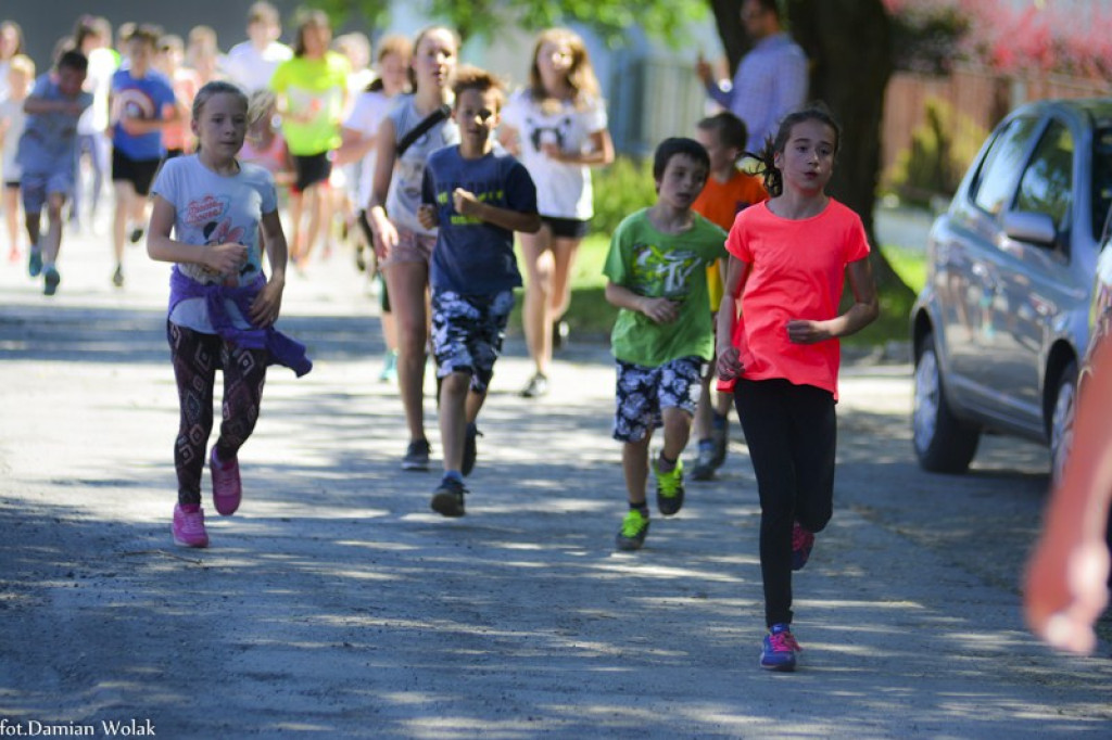 XXIII Bieg Olimpijski w Jędrzejowie [zdjęcia]