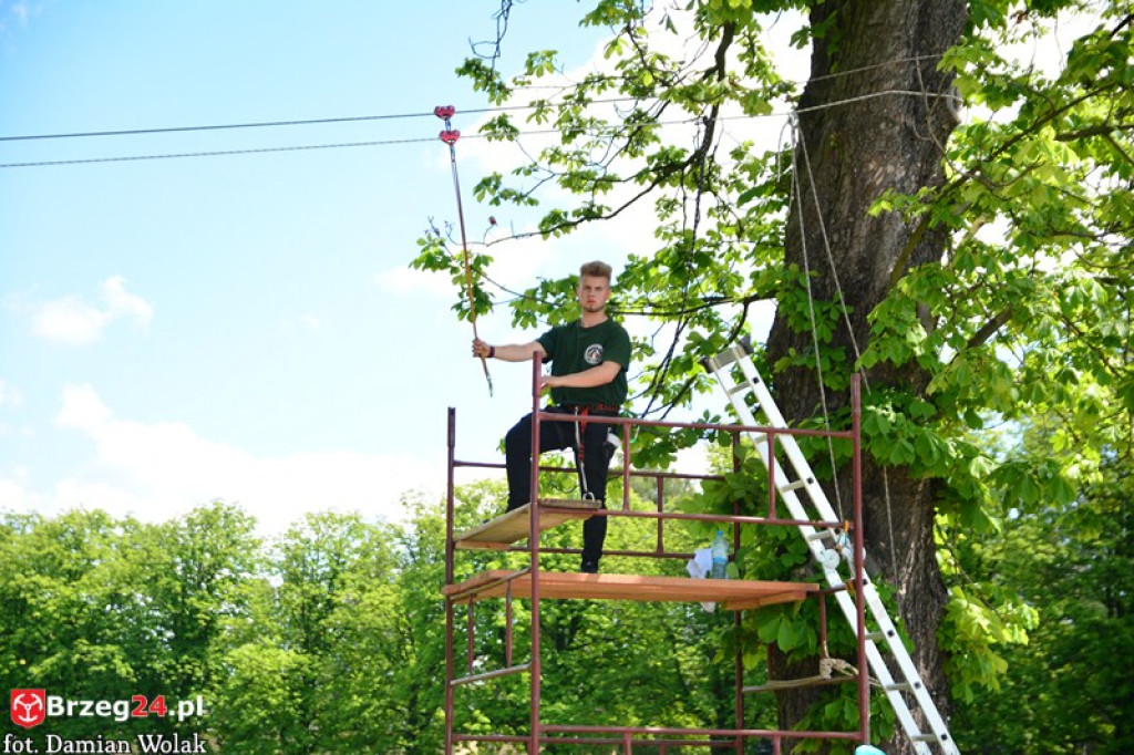 IV Piknik Lekkoatletyczny w Brzegu. Słoneczna niedziela i zabawa dla rodzin [fotorelacja]