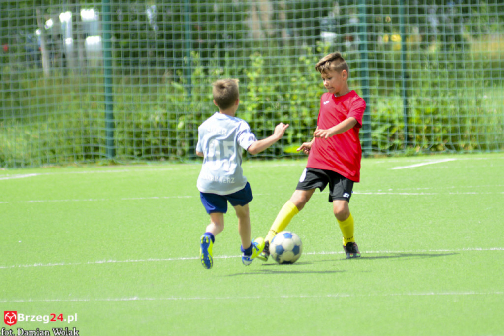 Rodzinny piknik w Grodkowie 