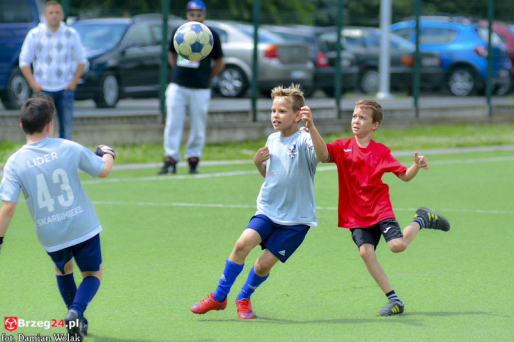 Rodzinny piknik w Grodkowie 