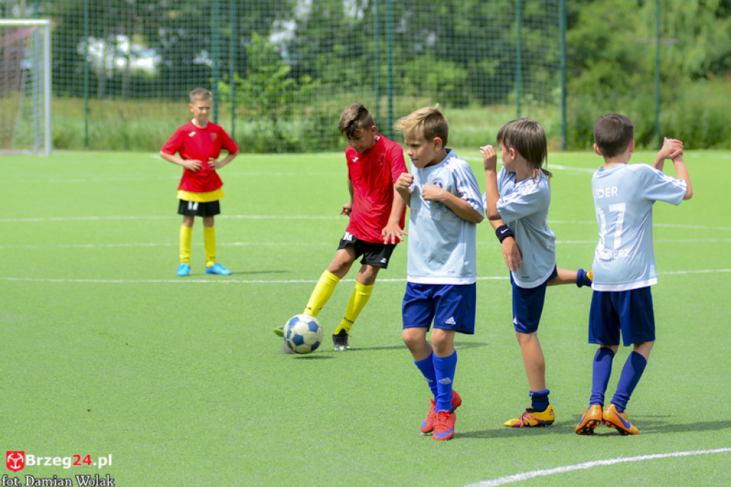 Rodzinny piknik w Grodkowie 