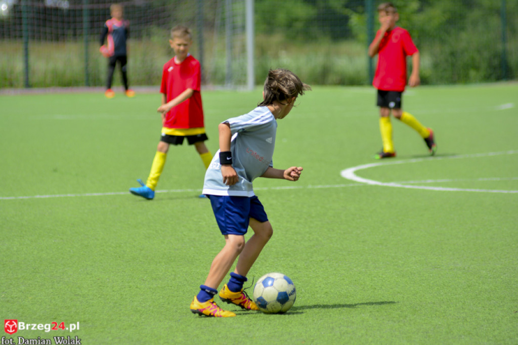 Rodzinny piknik w Grodkowie 