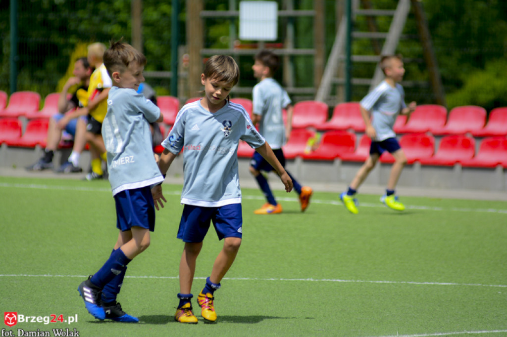 Rodzinny piknik w Grodkowie 