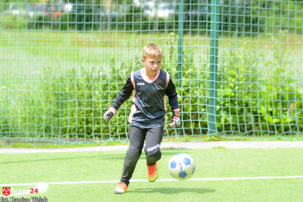 Rodzinny piknik w Grodkowie 