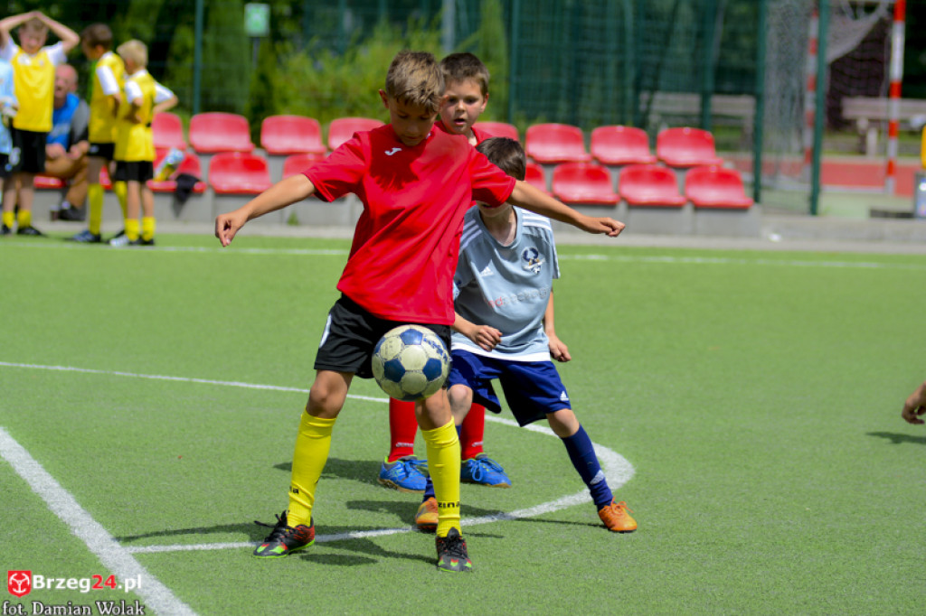 Rodzinny piknik w Grodkowie 