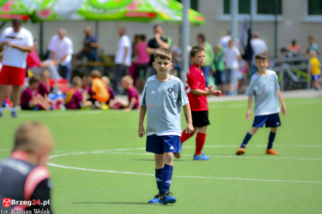 Rodzinny piknik w Grodkowie 