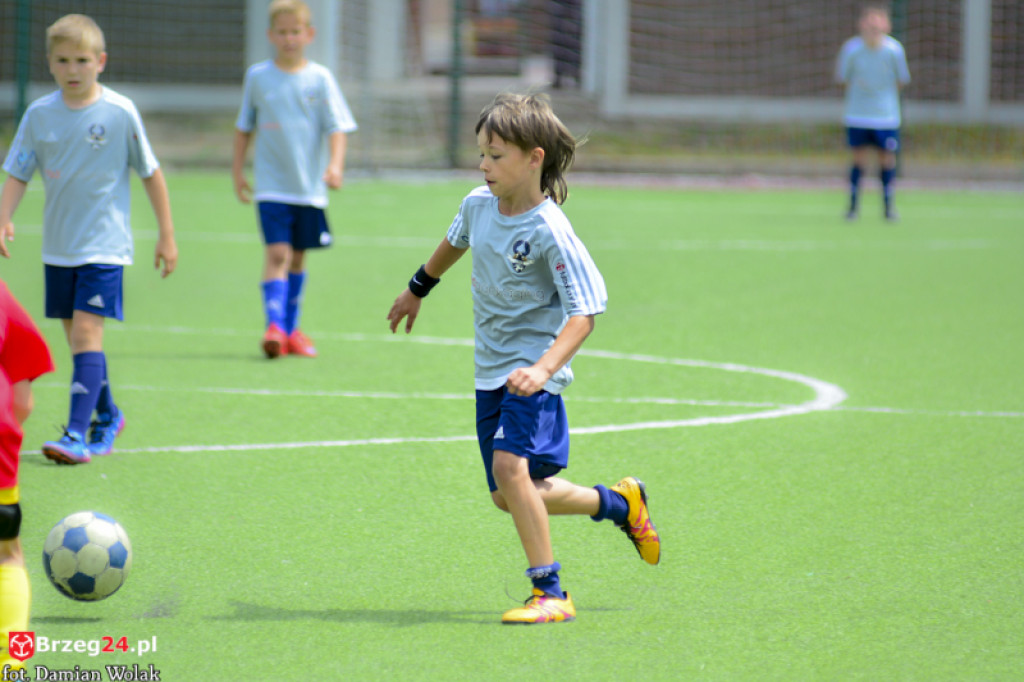 Rodzinny piknik w Grodkowie 