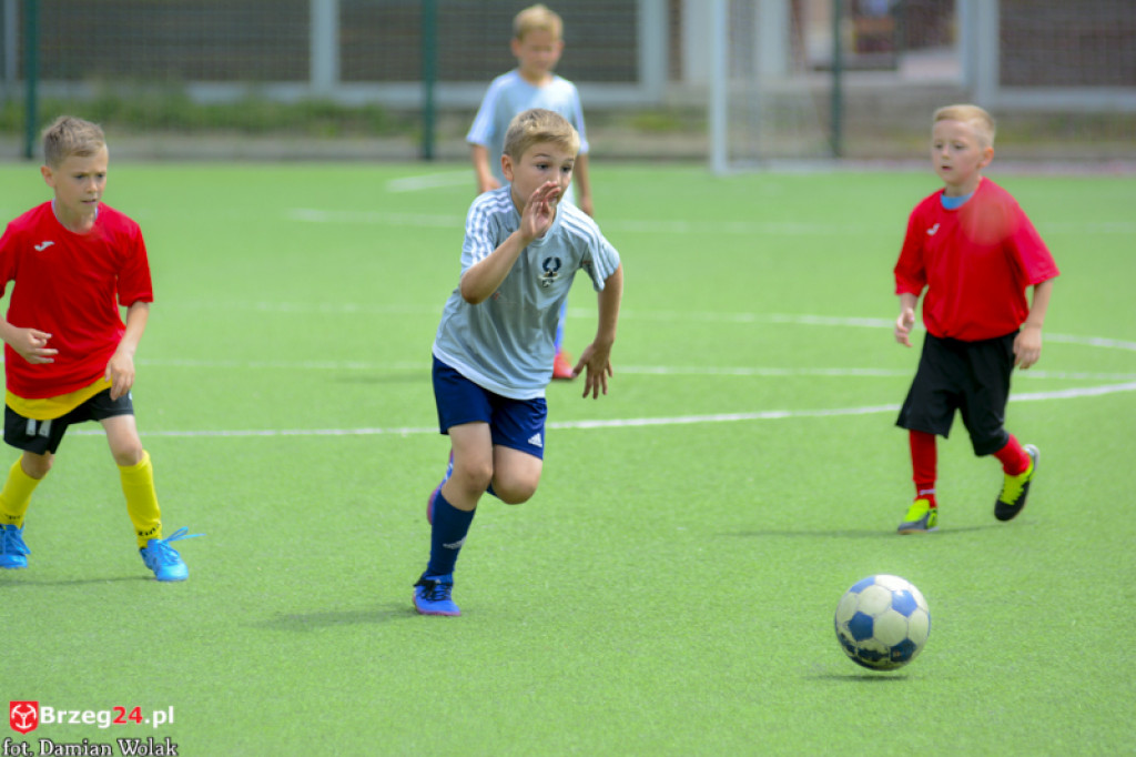 Rodzinny piknik w Grodkowie 