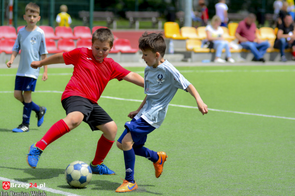 Rodzinny piknik w Grodkowie 