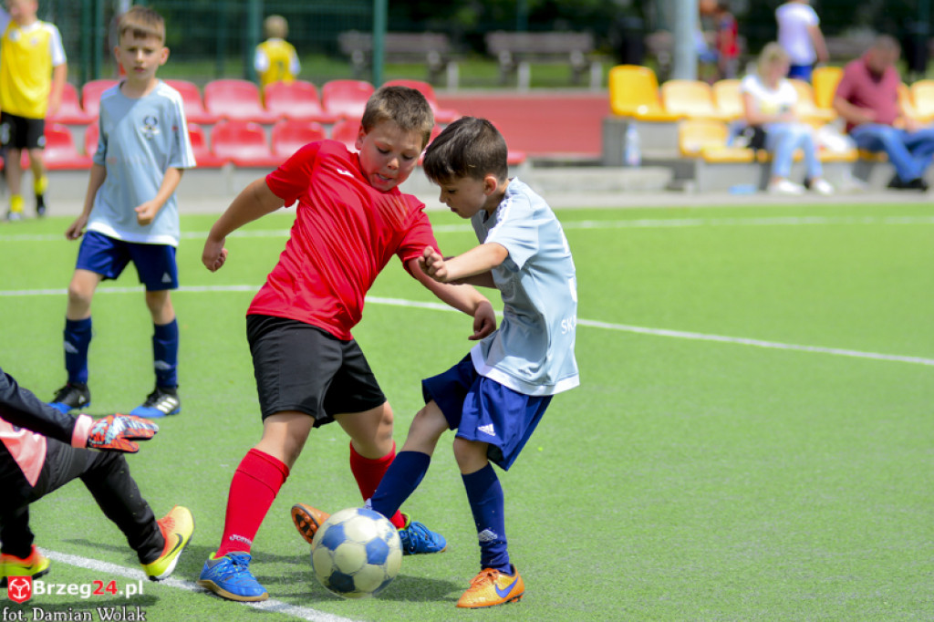 Rodzinny piknik w Grodkowie 
