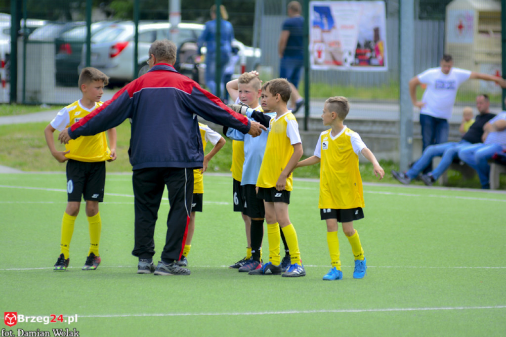 Rodzinny piknik w Grodkowie 