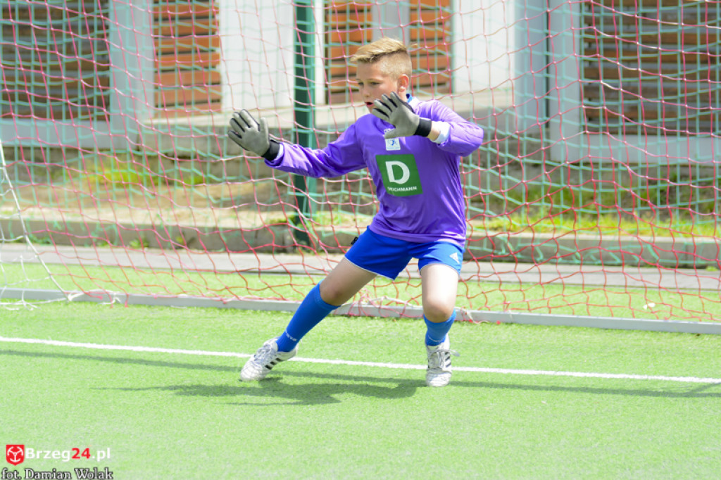 Rodzinny piknik w Grodkowie 