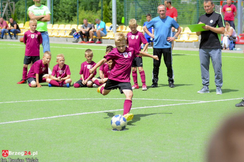 Rodzinny piknik w Grodkowie 