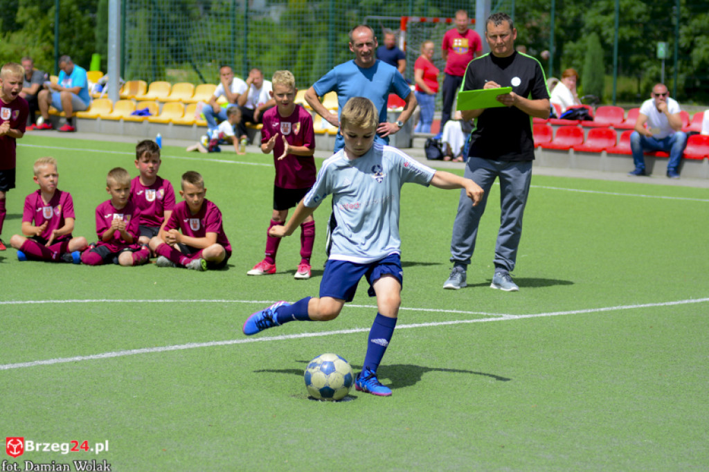 Rodzinny piknik w Grodkowie 