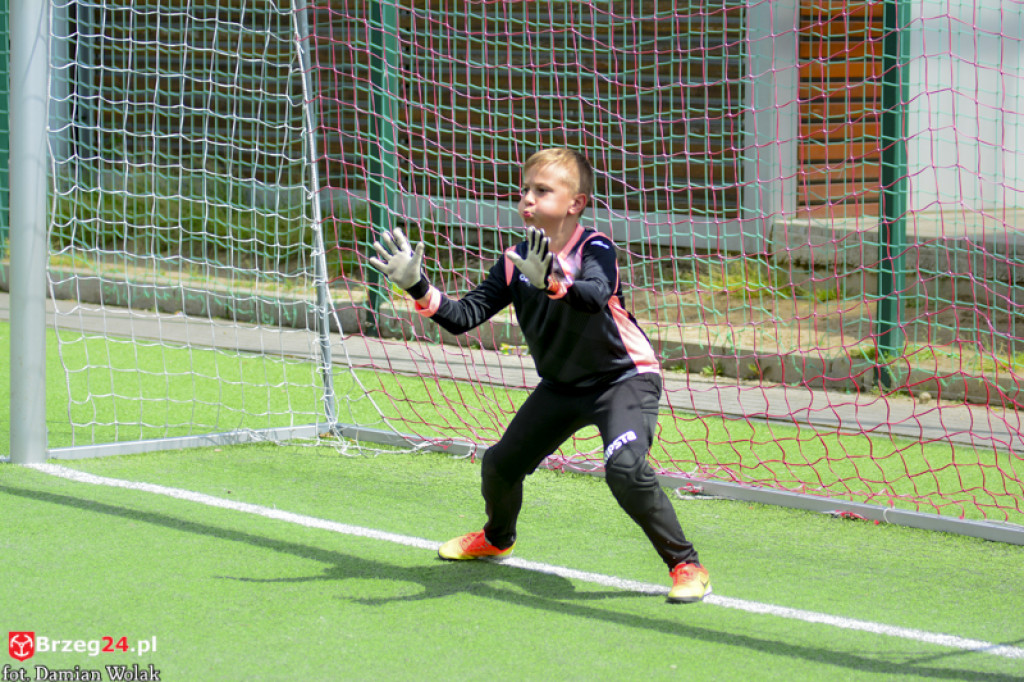 Rodzinny piknik w Grodkowie 