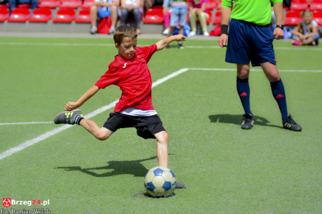 Rodzinny piknik w Grodkowie 