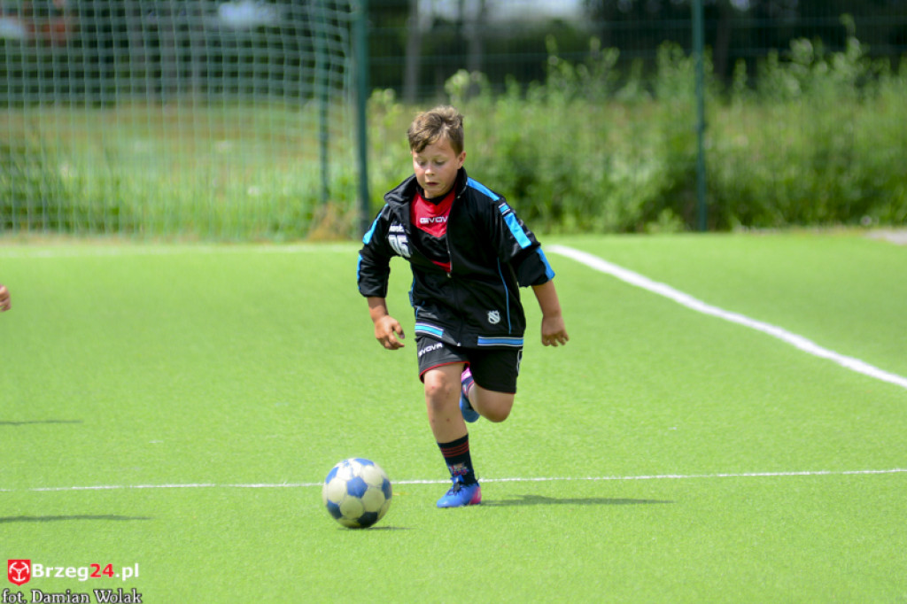 Rodzinny piknik w Grodkowie 