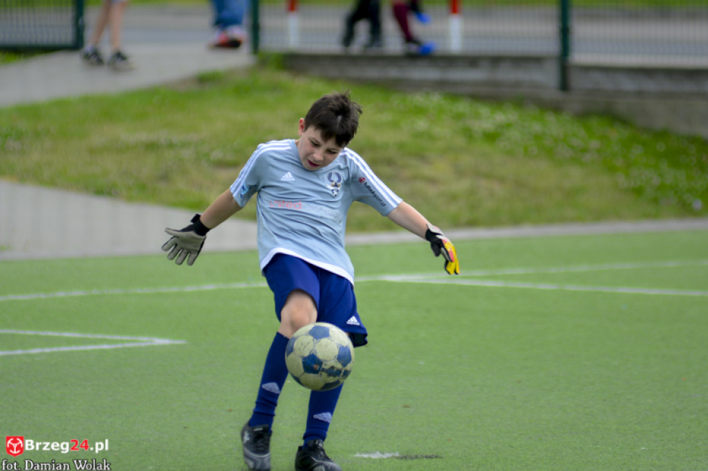 Rodzinny piknik w Grodkowie 