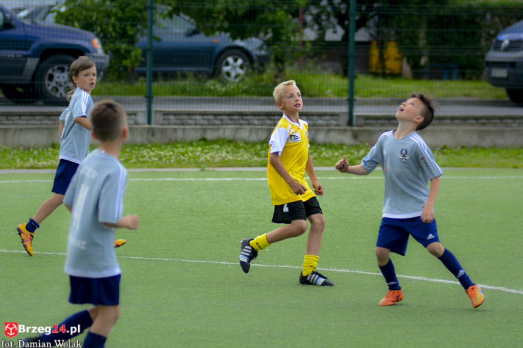 Rodzinny piknik w Grodkowie 