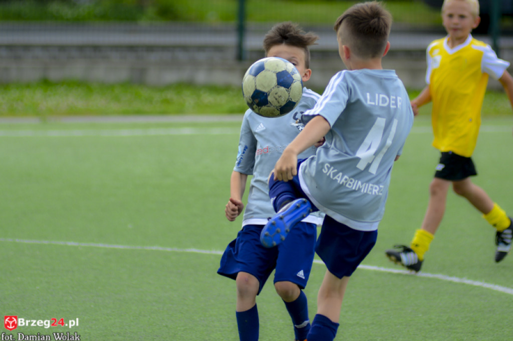 Rodzinny piknik w Grodkowie 