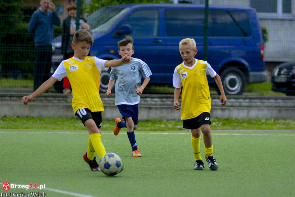 Rodzinny piknik w Grodkowie 