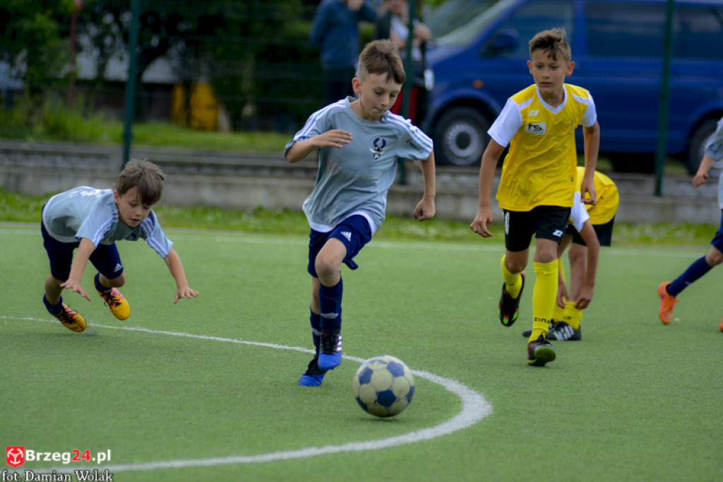 Rodzinny piknik w Grodkowie 