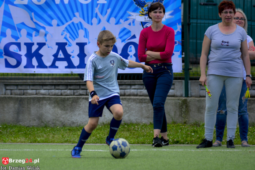 Rodzinny piknik w Grodkowie 