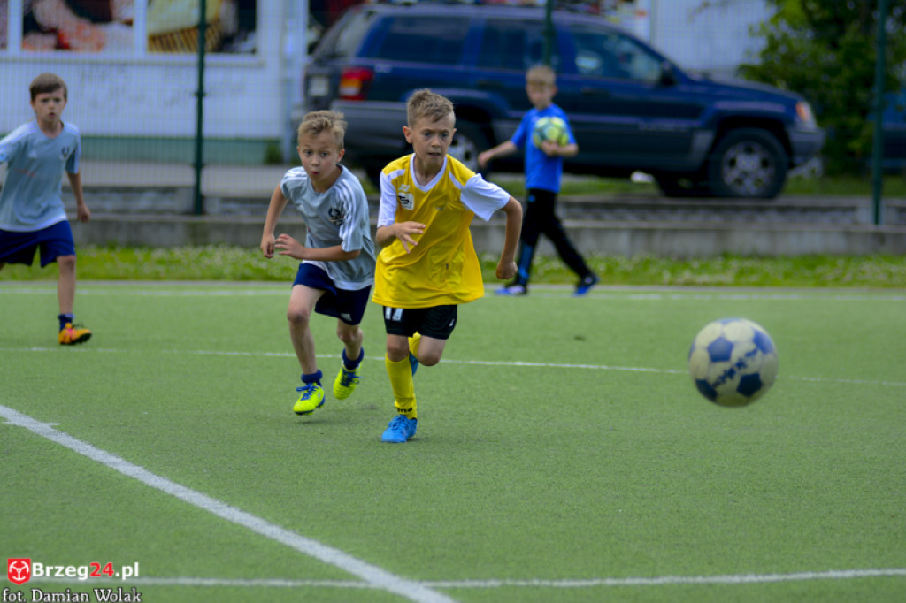 Rodzinny piknik w Grodkowie 