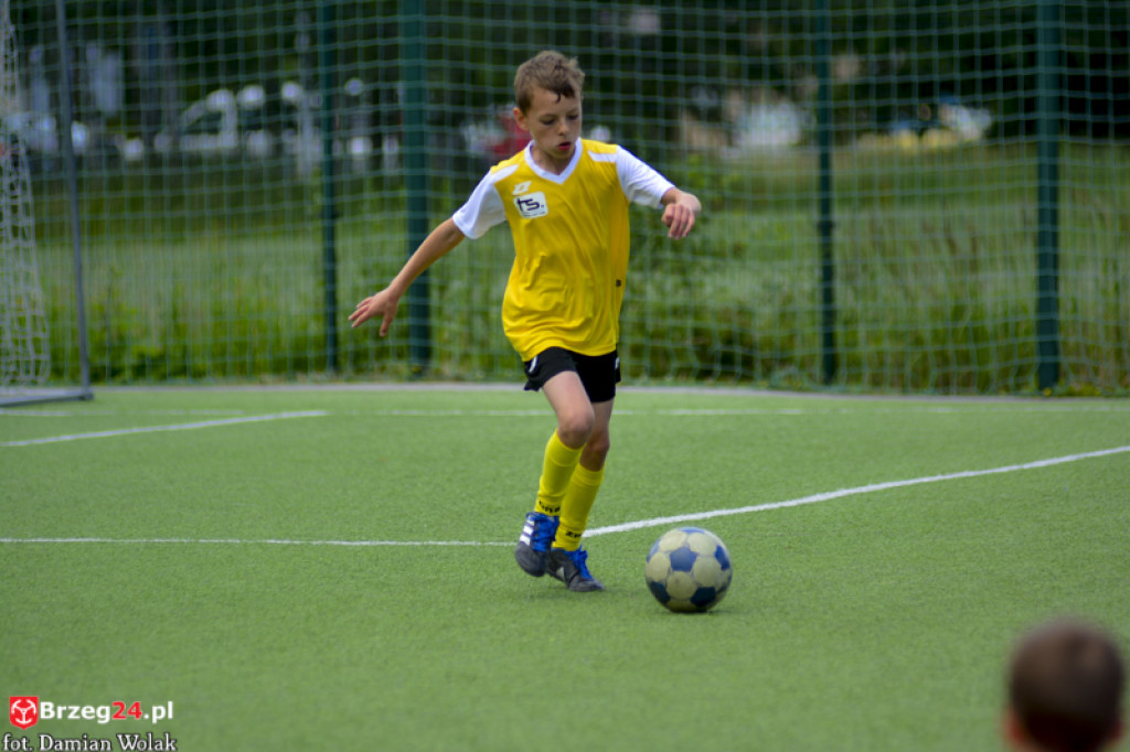 Rodzinny piknik w Grodkowie 