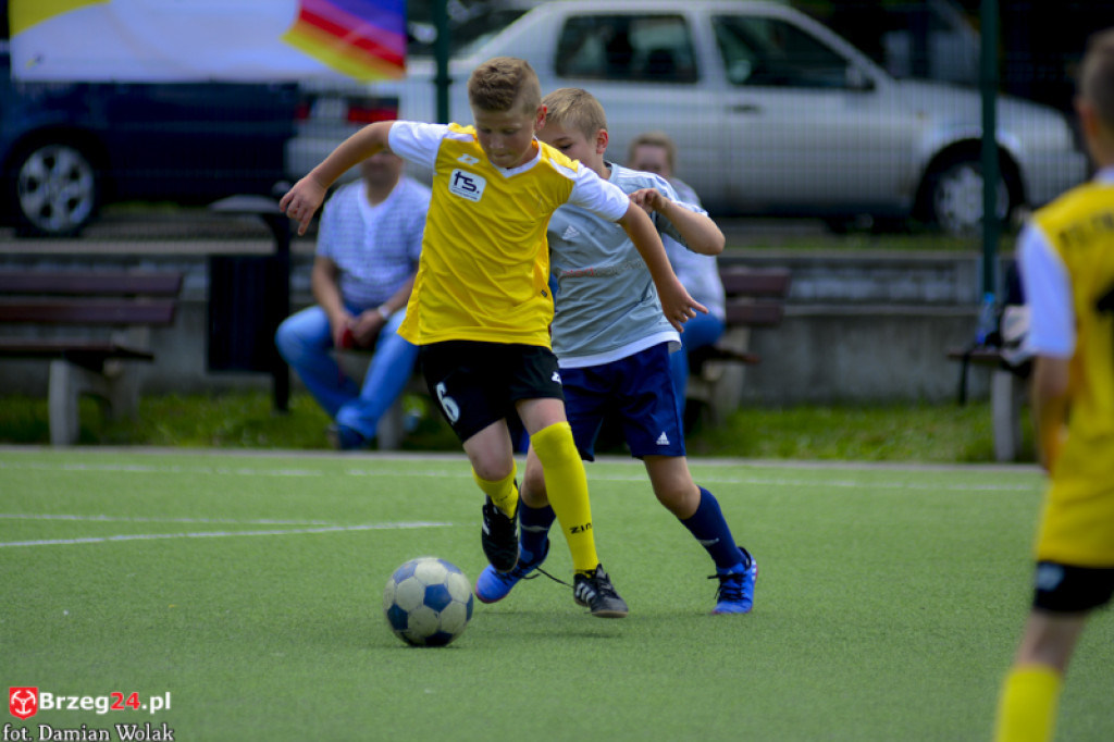 Rodzinny piknik w Grodkowie 