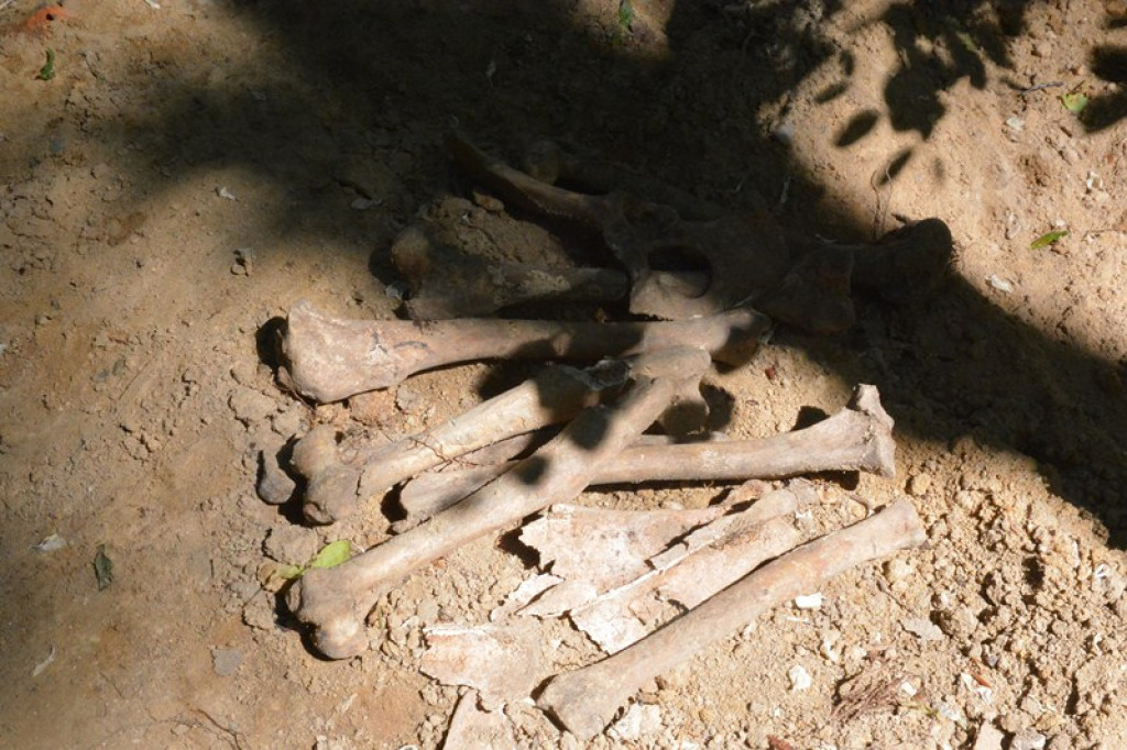 Szukają Żołnierzy Wyklętych