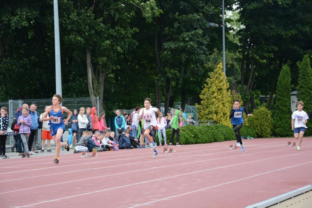 Kotwica Brzeg na finale 