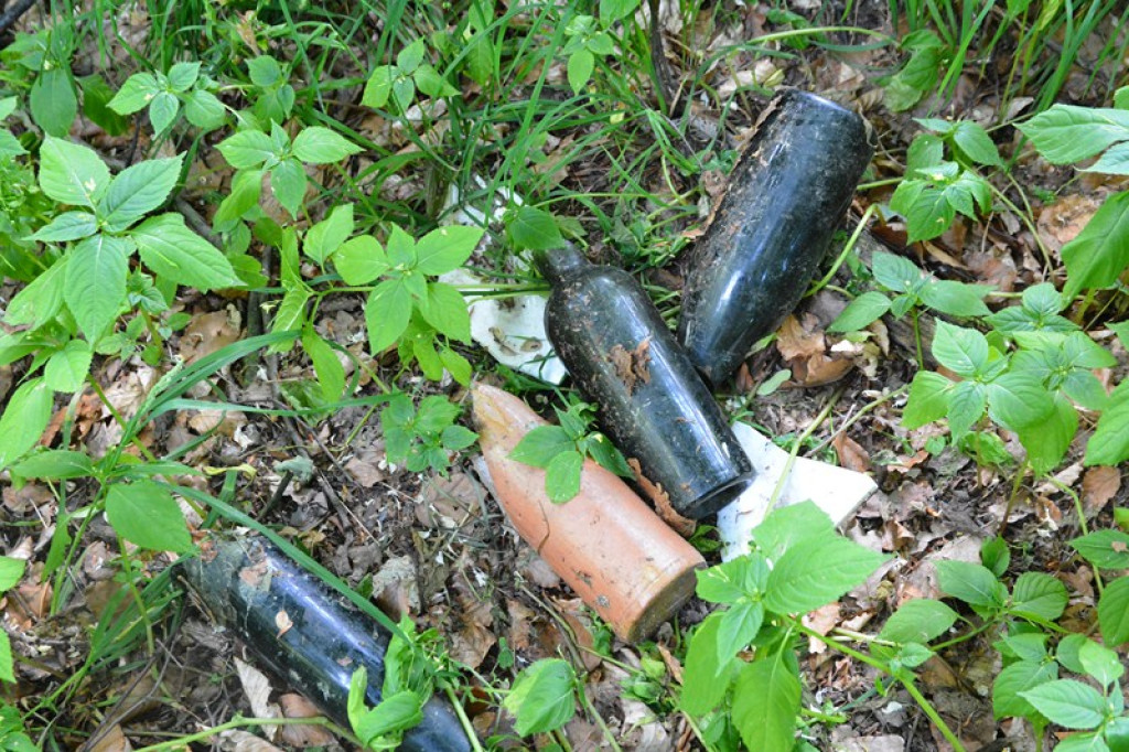 Szukają Żołnierzy Wyklętych