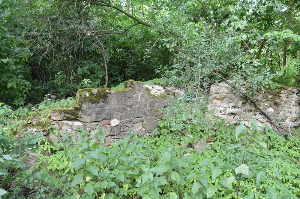 Szukają Żołnierzy Wyklętych