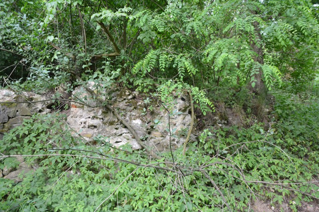 Szukają Żołnierzy Wyklętych