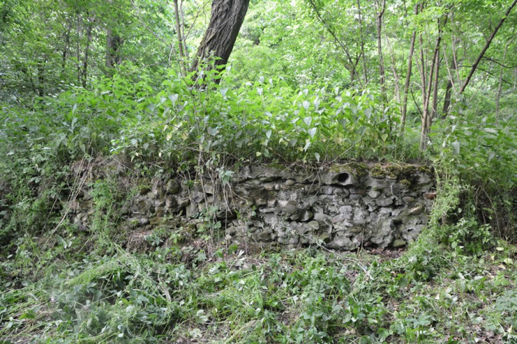 Szukają Żołnierzy Wyklętych