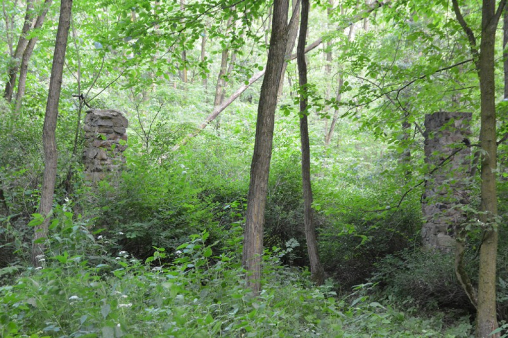 Szukają Żołnierzy Wyklętych