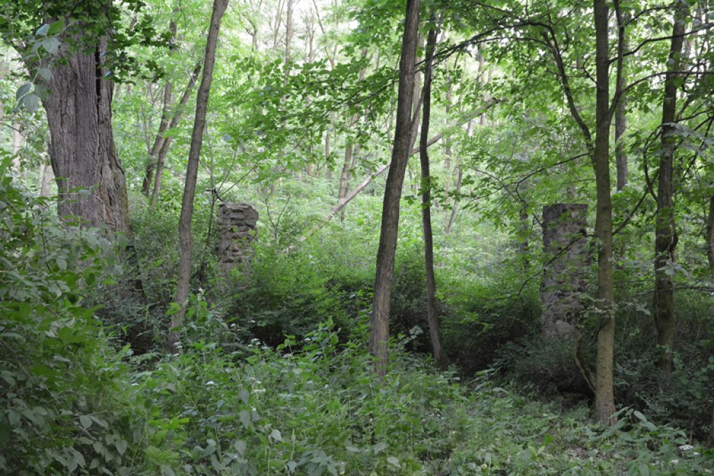 Szukają Żołnierzy Wyklętych