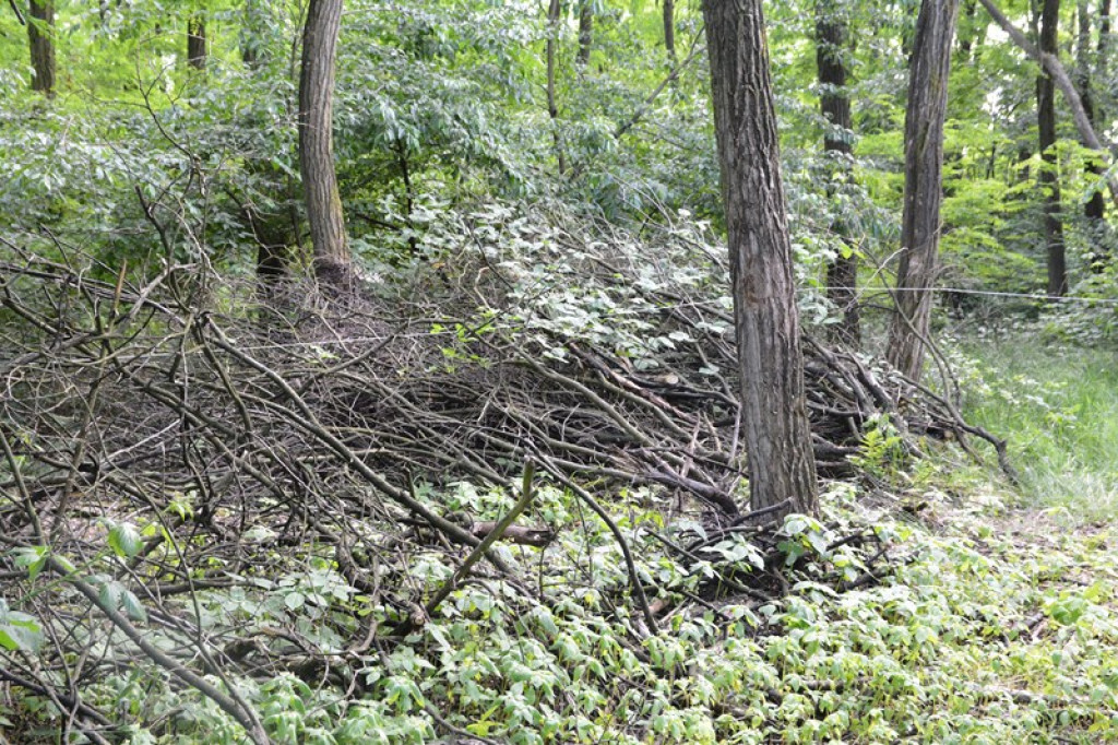 Szukają Żołnierzy Wyklętych
