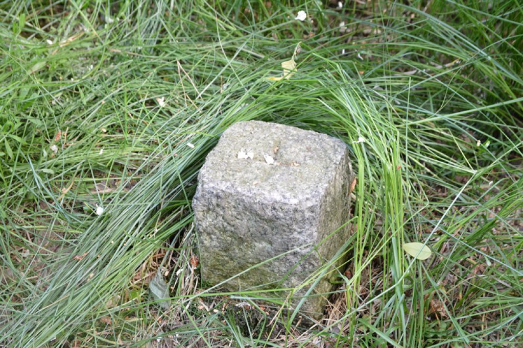 Szukają Żołnierzy Wyklętych