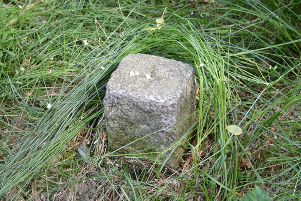 Szukają Żołnierzy Wyklętych