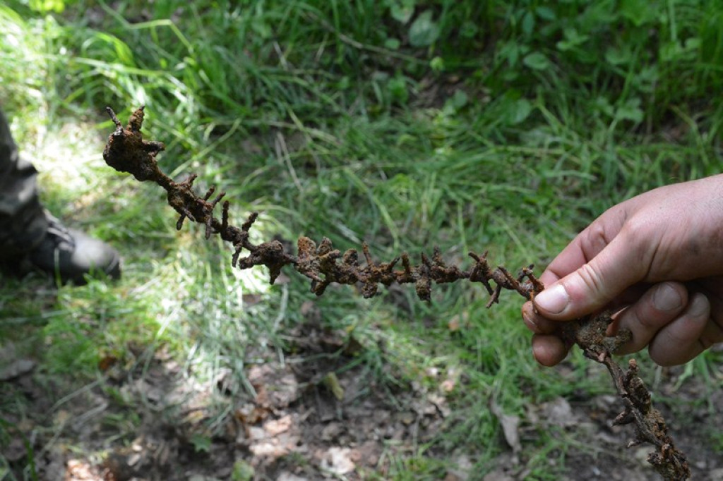 Szukają Żołnierzy Wyklętych