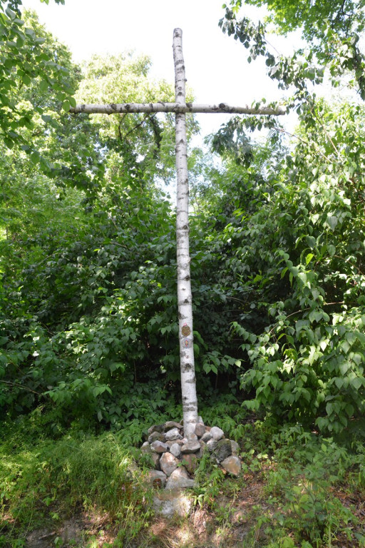 Szukają Żołnierzy Wyklętych