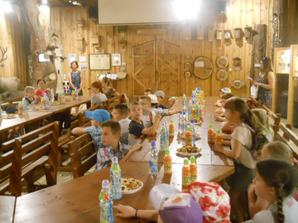 Laureatka konkursu przyrodniczo-plastycznego WFOŚIGW w Opolu Publicznej Szkoły Podstawowej nr 8 w Brzegu