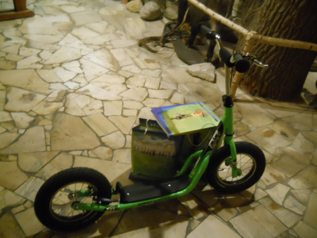 Laureatka konkursu przyrodniczo-plastycznego WFOŚIGW w Opolu Publicznej Szkoły Podstawowej nr 8 w Brzegu