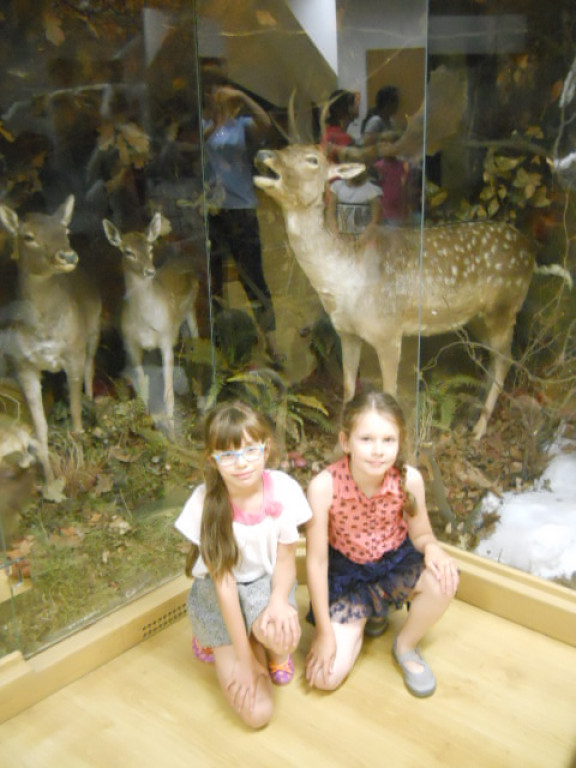 Laureatka konkursu przyrodniczo-plastycznego WFOŚIGW w Opolu Publicznej Szkoły Podstawowej nr 8 w Brzegu