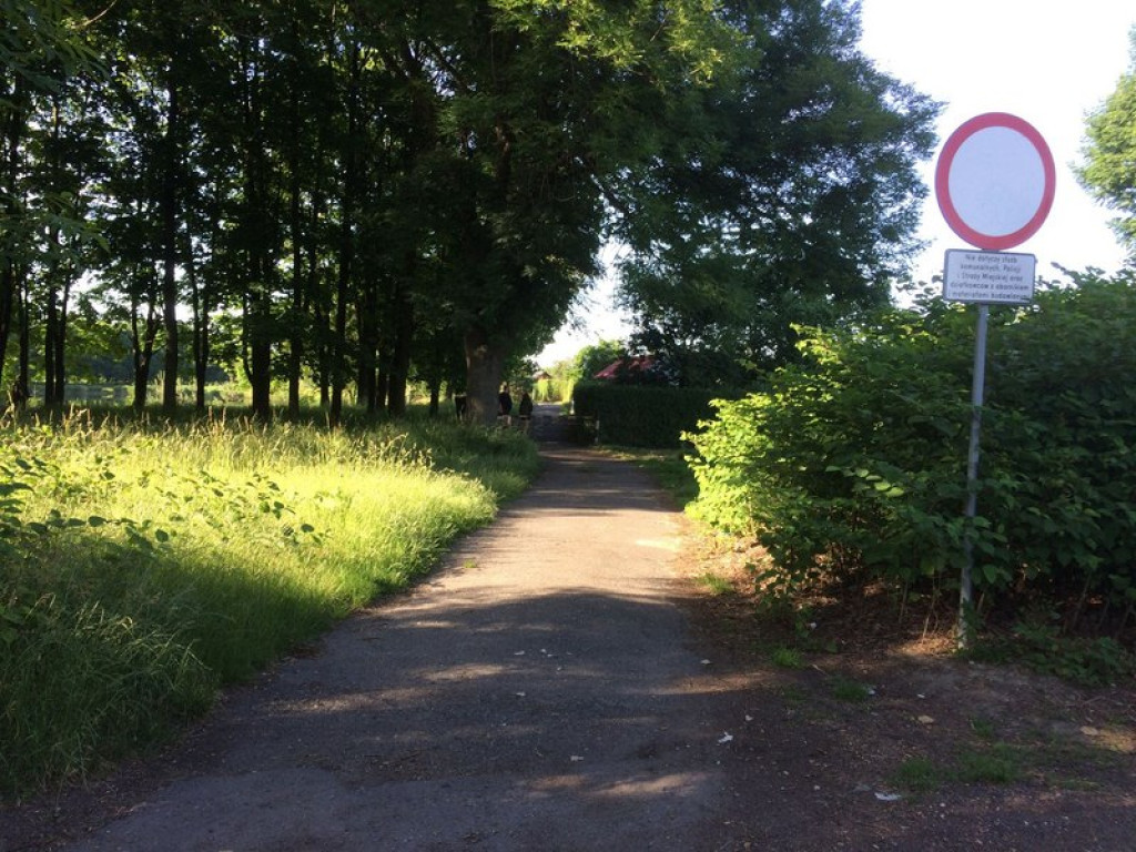 Rowerzyści w Grodkowie w wielu miejscach łamią prawo drogowe