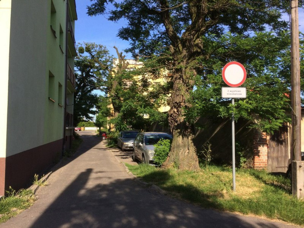 Rowerzyści w Grodkowie w wielu miejscach łamią prawo drogowe